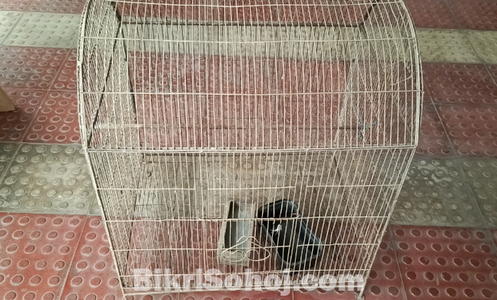 পাখির খাচা